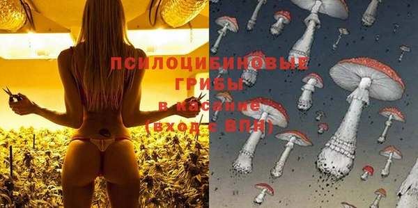 амф Алексеевка