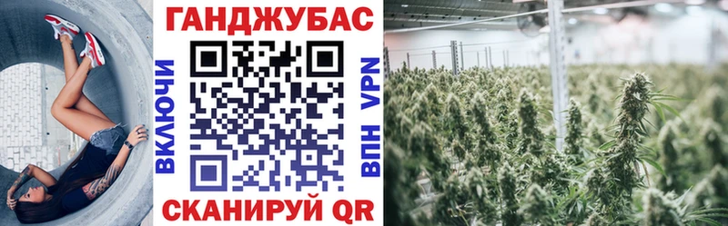 Шишки марихуана семена  Анжеро-Судженск 